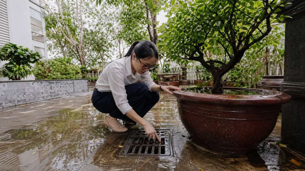 Môi trường sống tại Thanh Hà có nhiều muỗi không 2026